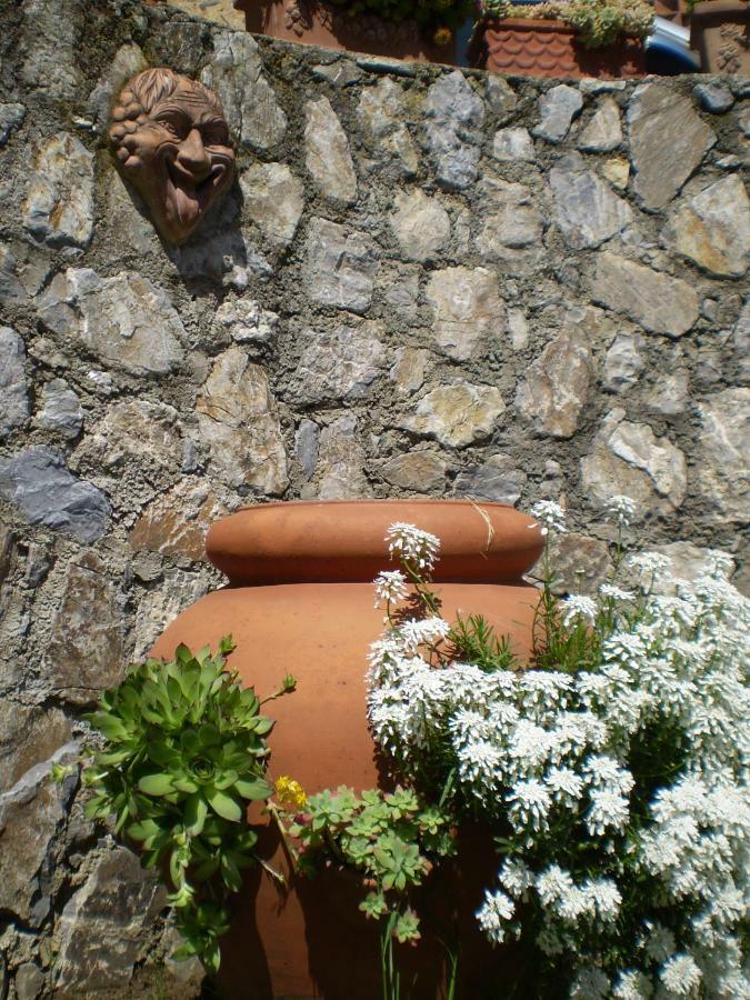 Casa Al Colle Villa ลุคคา ภายนอก รูปภาพ