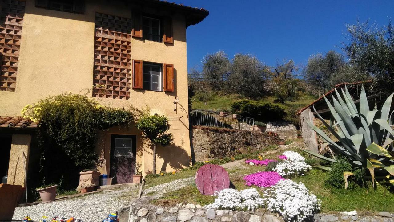 Casa Al Colle Villa ลุคคา ภายนอก รูปภาพ